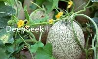 DeepSeek重塑算力生態 國產算力迎新機會