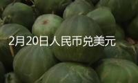 2月20日人民幣兌美元中心價下調7個基點