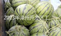 2023年漳州開發區工業開展項目建造這樣干！