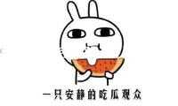 21國聯合聲明：以色列有必要中止對伊朗敵對行動