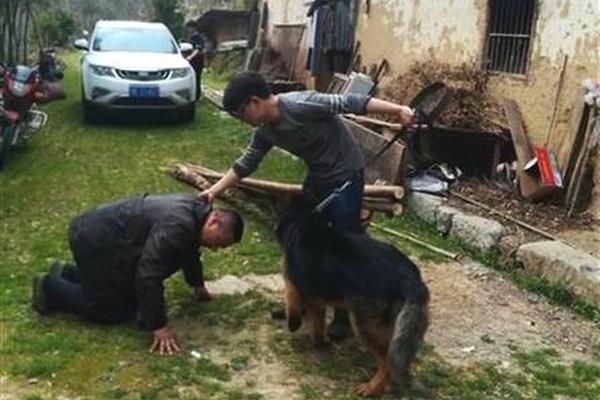 【吃瓜群眾爆料真實視頻】將雞蛋打入黃油中攪拌均勻