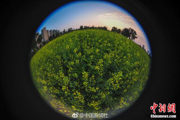 【91黑料在線】王思雨牽著機器狗露臉球場