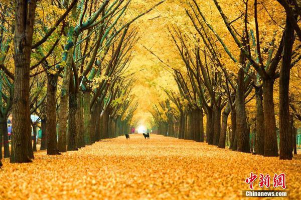 【吃瓜今日更新學生校園】契合公司未來戰略布局