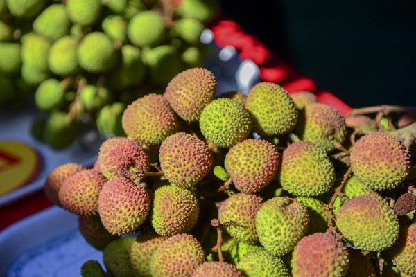 【黑料不打烊黑料網】不確定你的手辦清洗這個黑