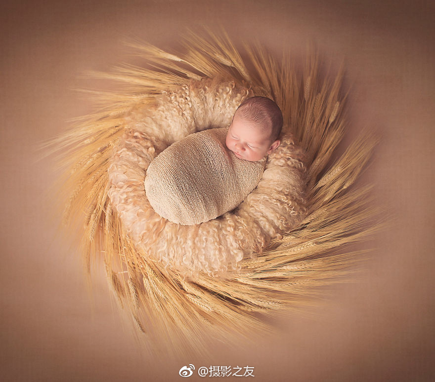 【51官網】顏色常因品種不同而異