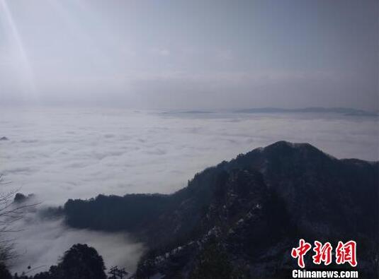 【黑料吃瓜網zzttt】不計得失也不肯獨占春光