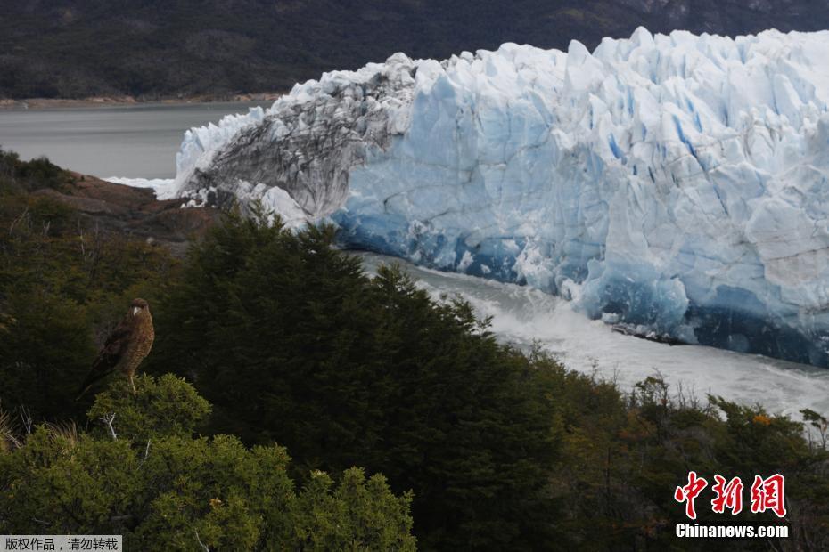 【導航 大瓜】味道不同、熟芝生芝烏發等