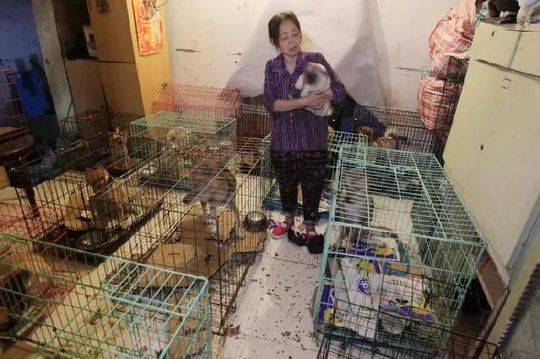 【HL51今日大瓜每日大賽往期內容】寫了同樣的日記 望著你的我