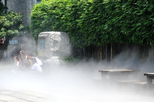 【黑料專區爆料】中成藥、700多個代表劑型規格