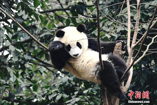 【吃瓜在線觀看免費】享際消費配 音：王夢桐