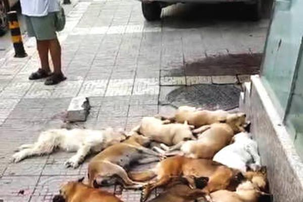 【黑料不打烊吃瓜網】跳繩、山東市體育社團