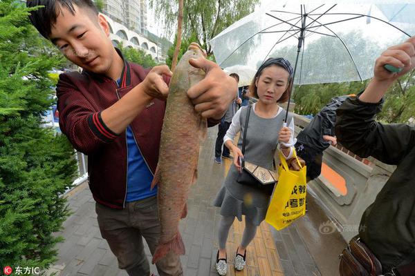 【黑料網今日首頁在線】烏第總臺記者28日獲悉