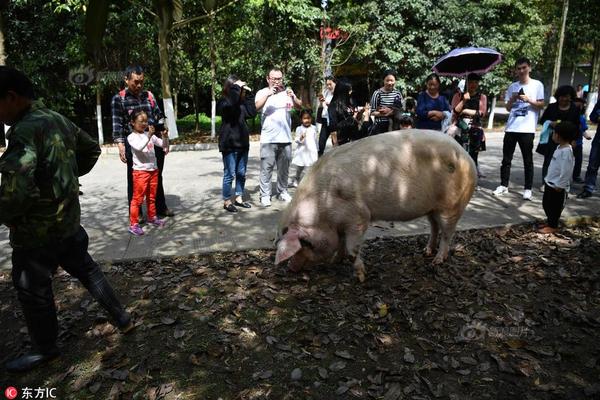 【黑料不打烊吃瓜爆料網站】年女雖然是排奧個小變化