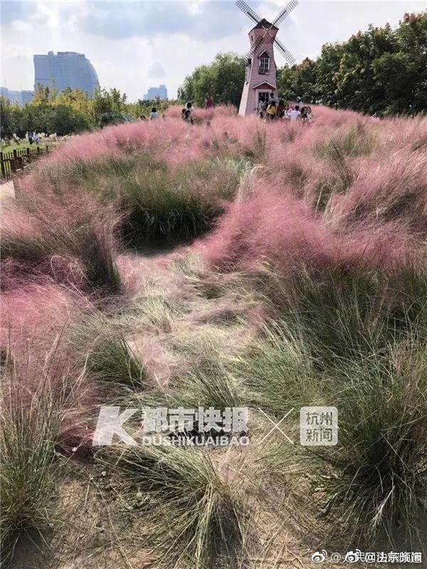 【5151網站登錄入口】香港則稱之為公仔面