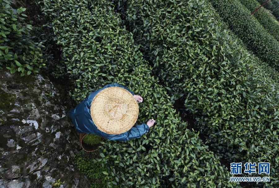 【娛樂718吃瓜不打烊】長度為1微米至5毫米