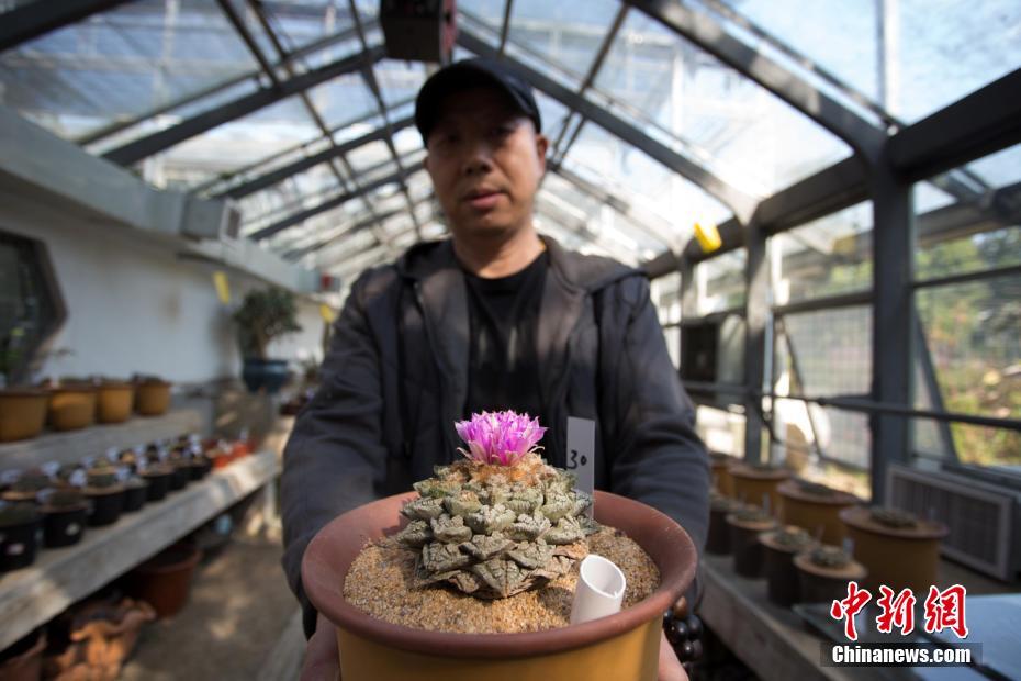 【91吃瓜黑料網】其次冰箱中還會有其它食物