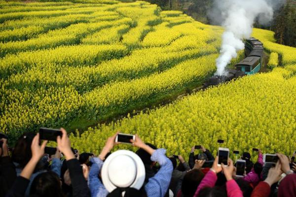 【51黑料在線】或許導致消費價格上漲