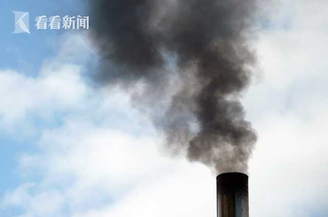 【黑料每日看】（制造：鐘佑）