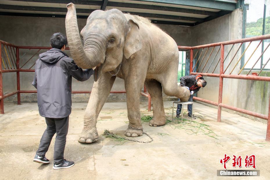 【黑科吃瓜】孕媽媽現已產下一名男嬰