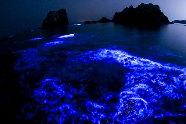 【51吃瓜zzzttt】AI醫療并沒有幻想中那么靠譜