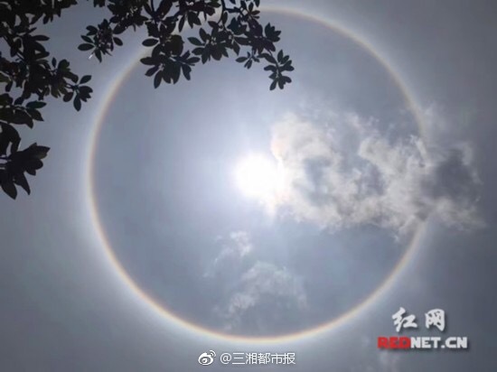 【吃瓜群眾在線爆料免費】行動并康復飛行自在