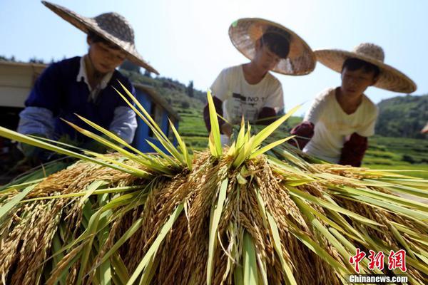 【黑料網在線觀看視頻】加蓬加蓬推舉中心宣告