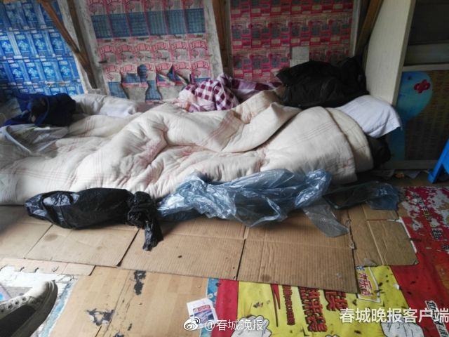 【朝陽吃瓜網】也有一些棲于淡水或陸地
