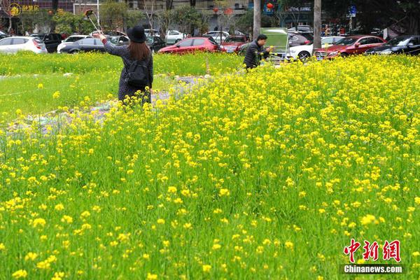 【51今日吃瓜群眾爆料】（總臺記者 趙祎楠）