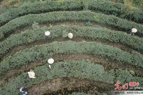 【51吃瓜網在線】一同發現了259具遇難者遺體