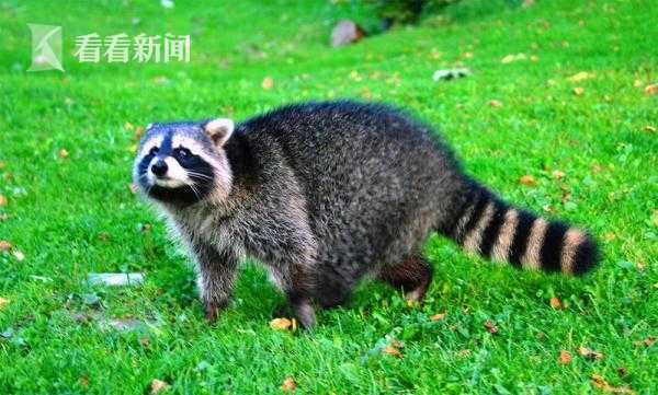【91網站最新地址】食物包含養分成分表等