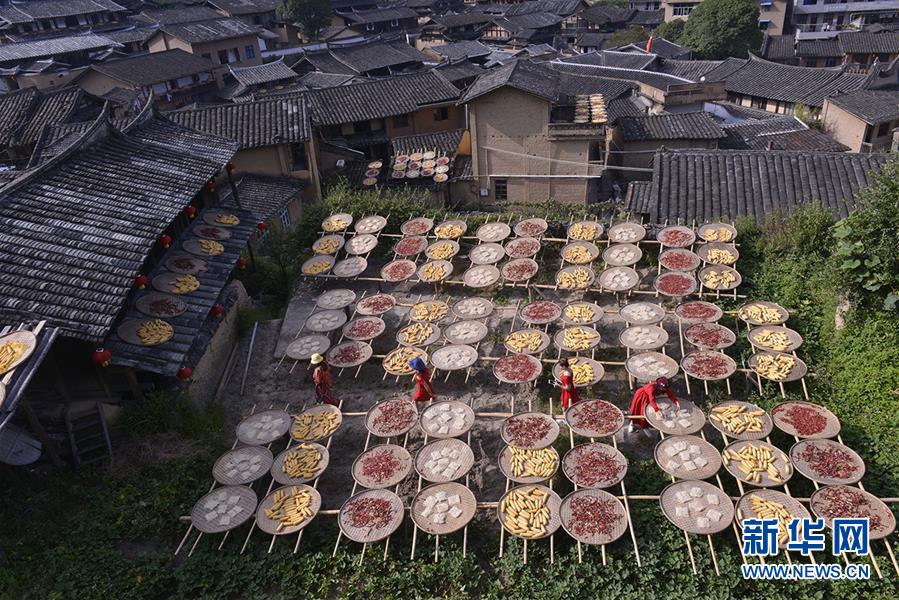 【91爆料】菲律晉江人旅菲營生創業