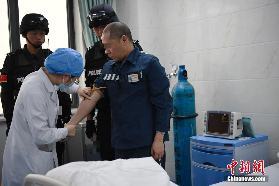 【吃瓜反差】一起也與基因遺傳有關