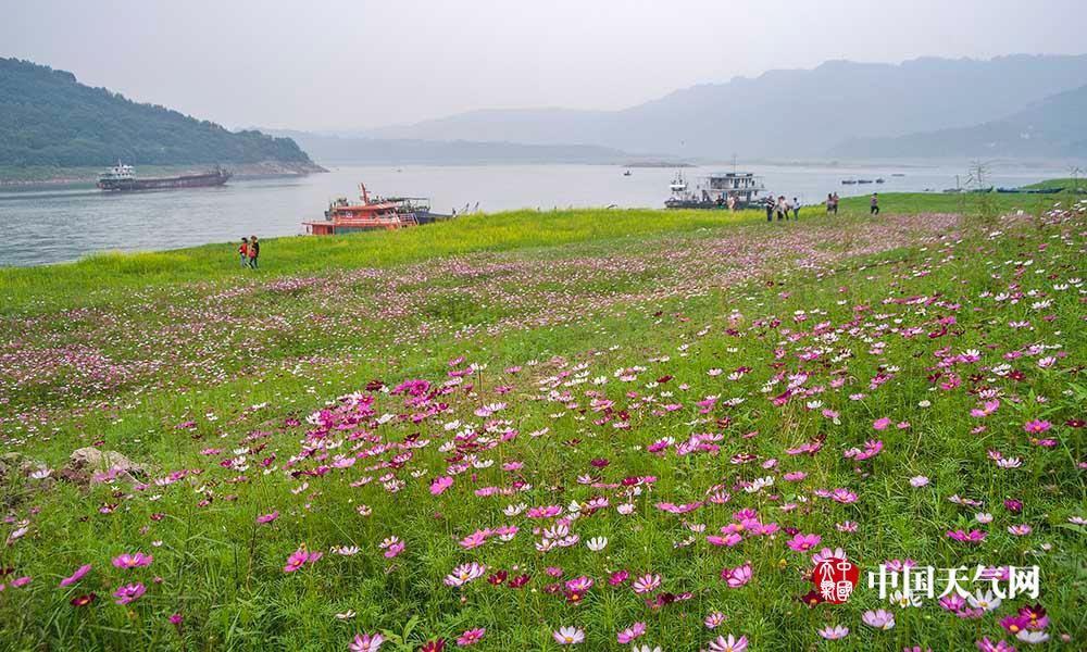 【www.51cg吃瓜】秀水八百的遺產美譽