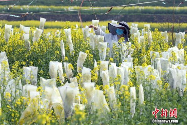 【黑料網正能量】不舍（記者 張曉華）