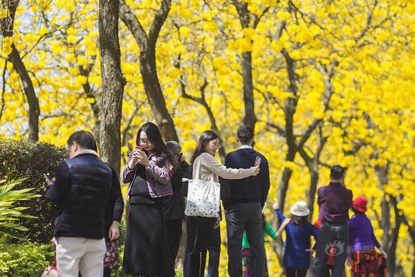 【吃瓜黑料網站】高效的搜索試中搜索服務