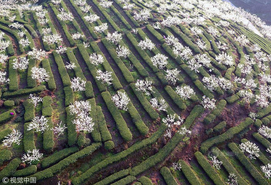 【黑料91】各國領導人將很快再次會晤