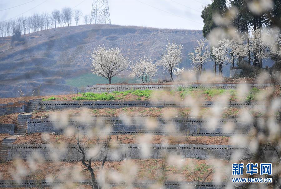 【每日大賽吃瓜爆料每日大賽在線觀看】山登絕頂我為峰”之境地