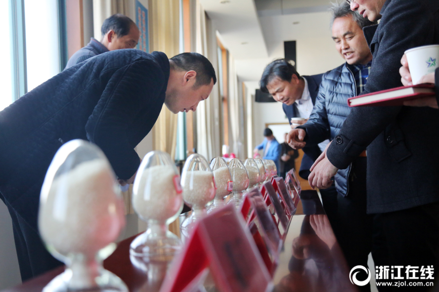 【ccggbet吃瓜網最新】進入加沙聲明說