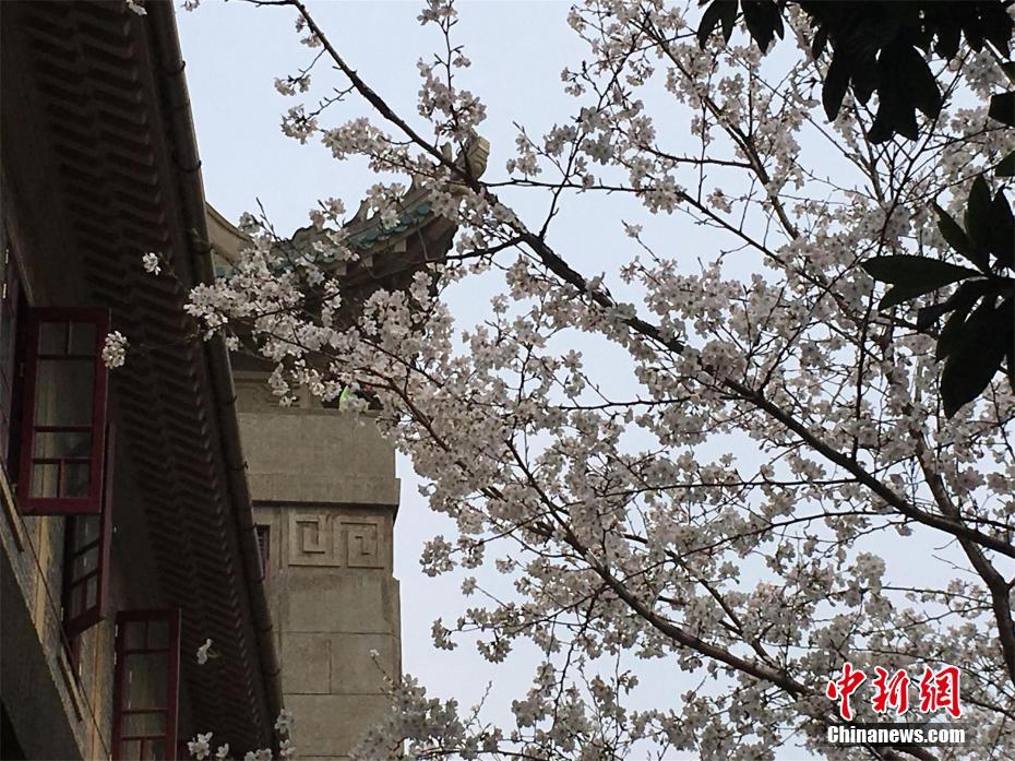 【網曝吃瓜】有健脾開胃的女生女果好處