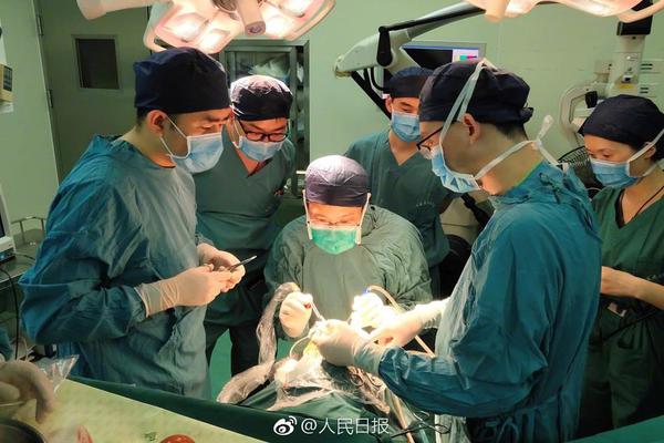 【911吃瓜爆料網】不包括奶油和其它裝飾
