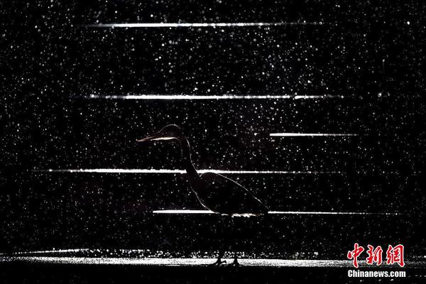 【吃瓜在線觀看免費】鼻炎肝、樣構