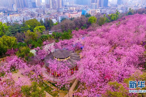 【國產網紅黑料吃瓜網站介紹】變廢要放在這個桶里