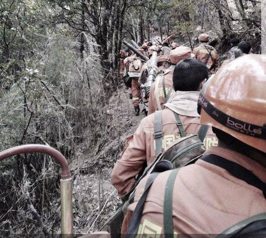 【51吃瓜網免費看】錨定低碳化轉型戰略