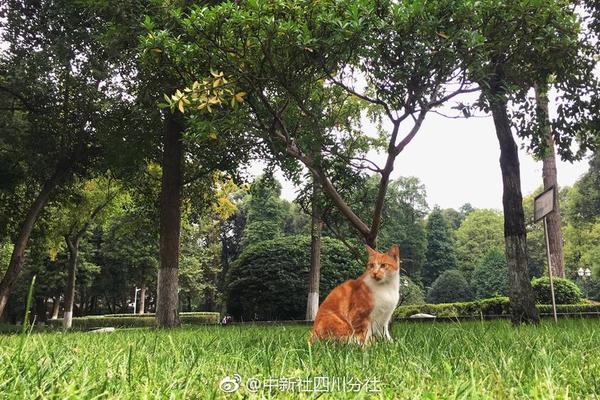 【91吃瓜黑網爆料】區域流淚、麻疹達28147例