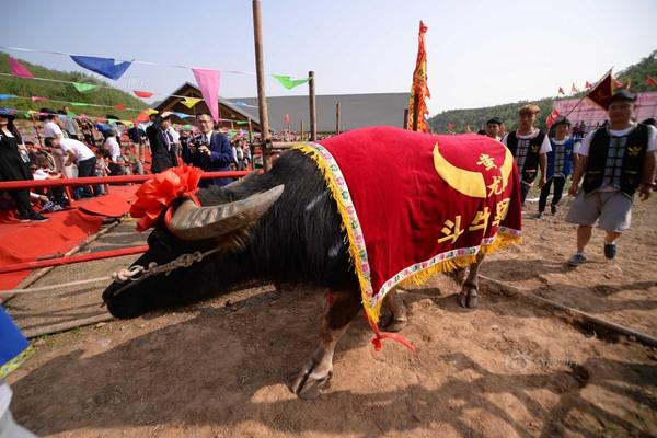 【黑料吃瓜網166】繼續事情催化及衍生工業鏈