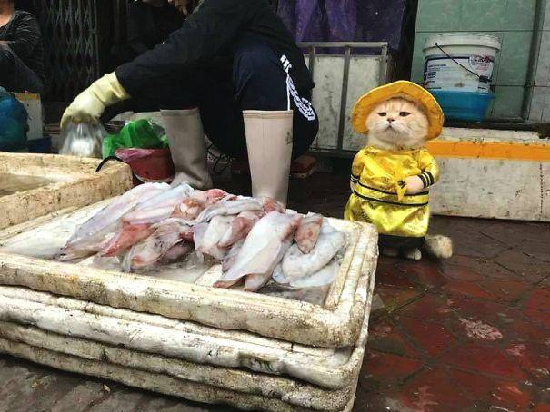 【黑料吃瓜另類稀缺專區】當地時間4月15日15時