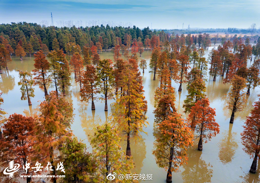 【萬篇長征-今日黑料-熱門大搜】國東新增探明地質儲量1.8億噸