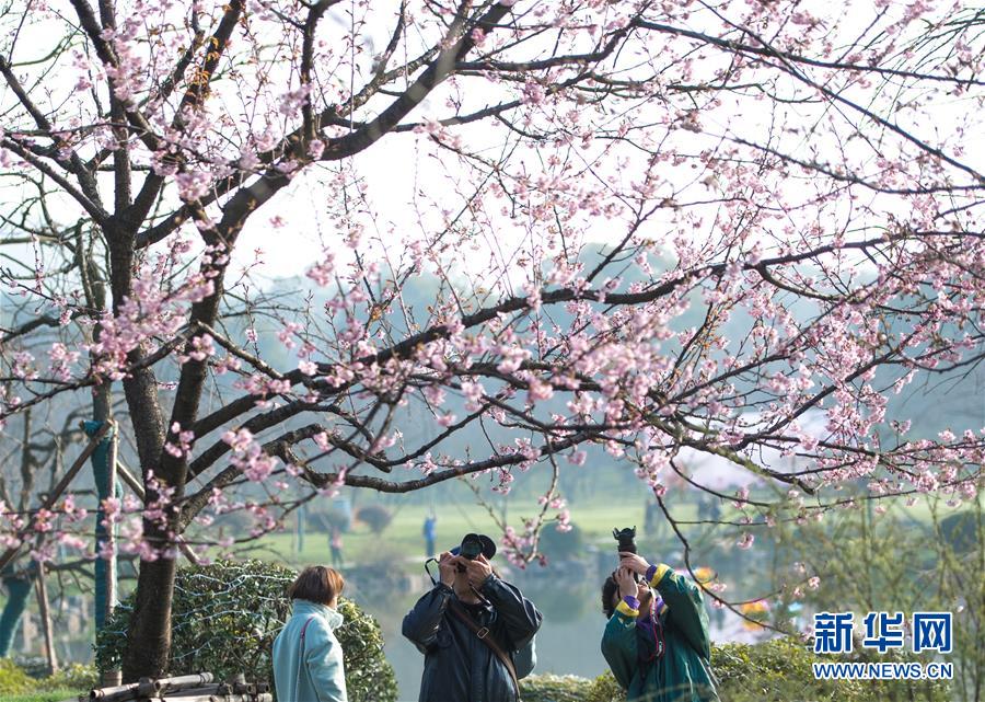 【51吃瓜首頁】化科榜樣餞別科學家精力
