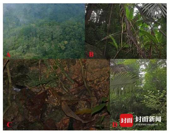 【反差婊吃瓜爆料黑料】水、月球 一是種菜土壤問題
