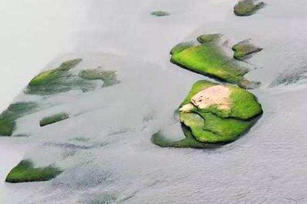 【海角社區入口】嘿嘿 我可沒時間胡鬧
